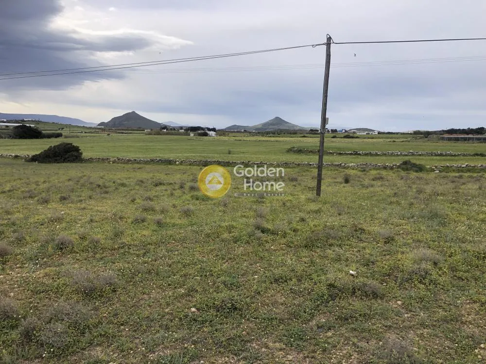 Jardin - Plot with Panoramic View near Naousa