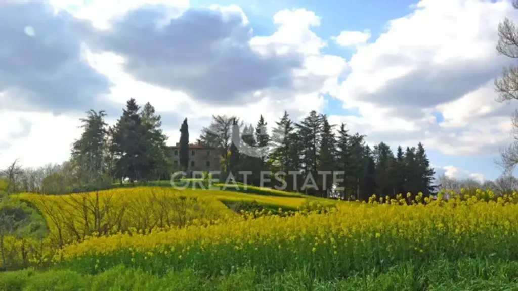 Giardino - Historic Hamlet with Pool in Anghiari