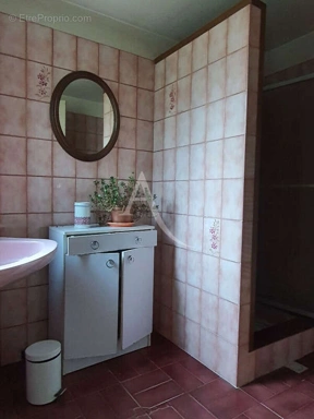Bathrooms - Longère with Garden near Beauval Zoo