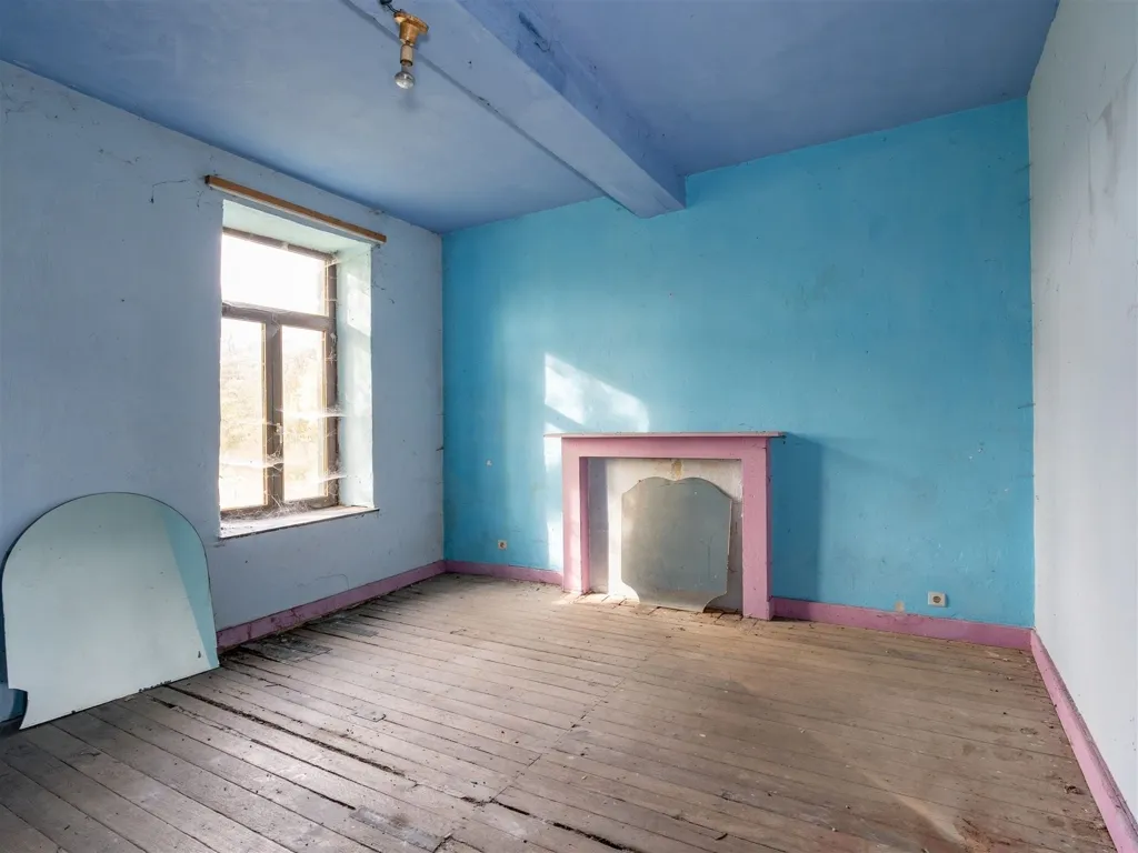 Toad - Historic House with Development Potential in Beauraing