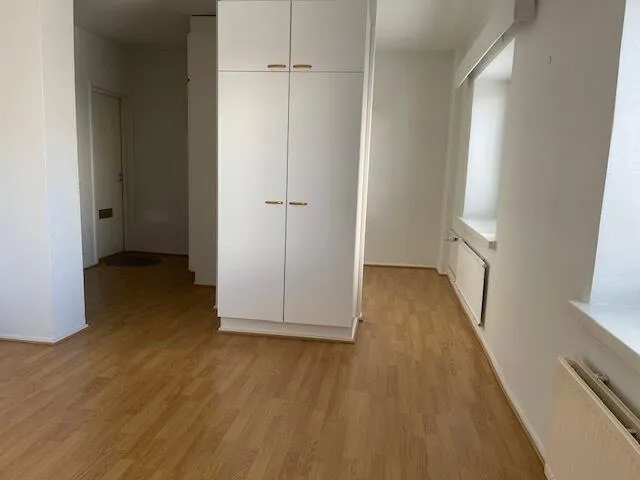 Toad - One-Bedroom Flat with Cellar in Kemi Centre