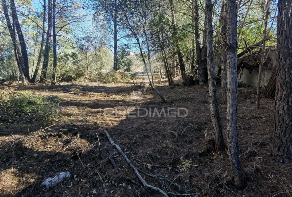 Aed - Urban Plot with Field View in Minde / Alcanena
