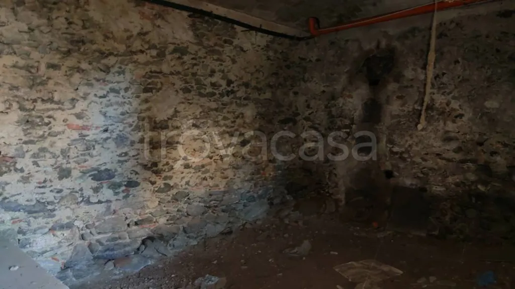 Toad - Rustic Cottage for Renovation in Caprie