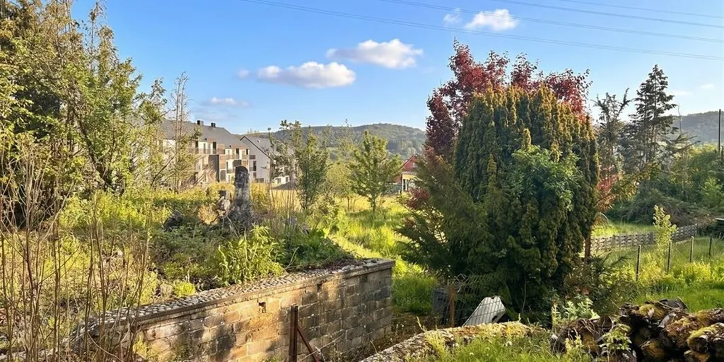 Jardin - Maison Charmante avec Terrasse à Barvaux-sur-Ourthe