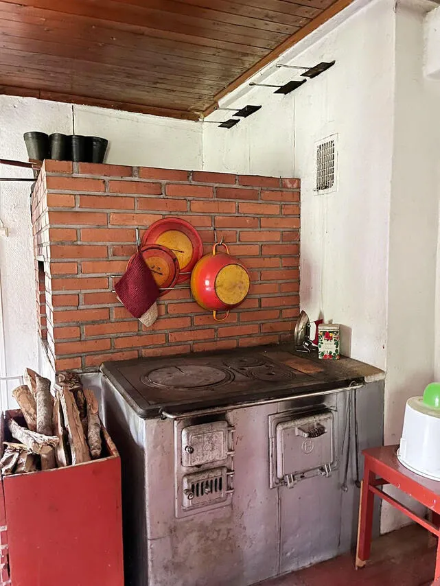 Cuisine - Country House with Forest in Kiuruvesi