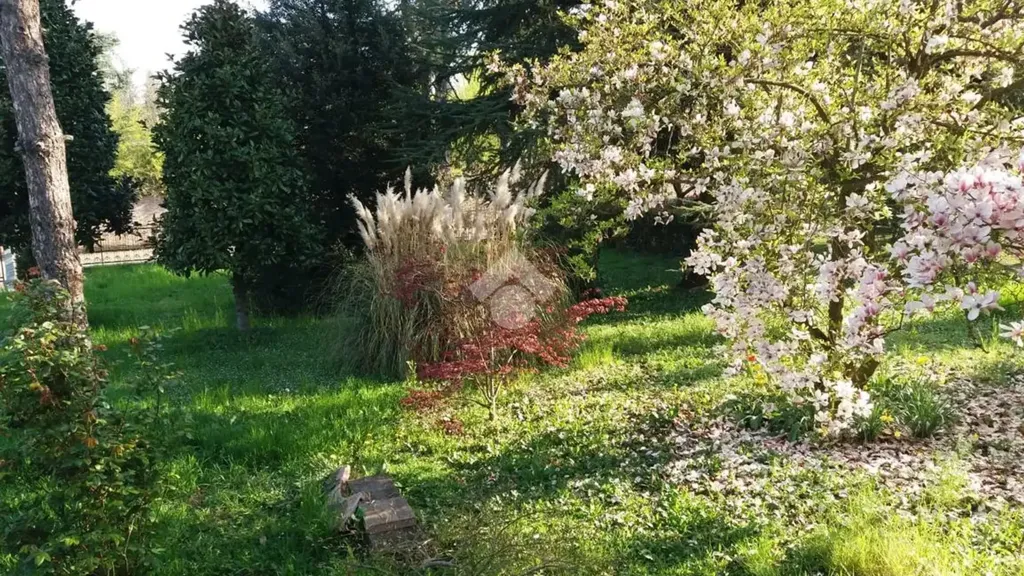Jardin - Spacious Apartment with Private Courtyard in Castelnuovo Rangone