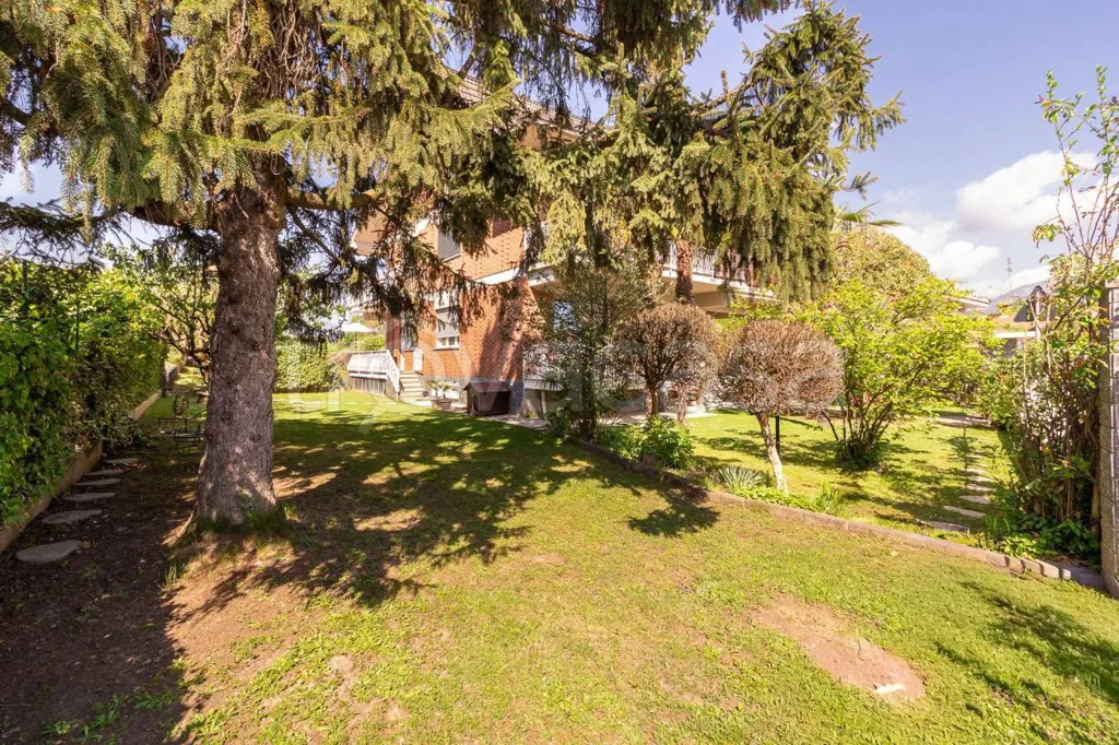 Jardin - Apartment with Terraces in Rosta