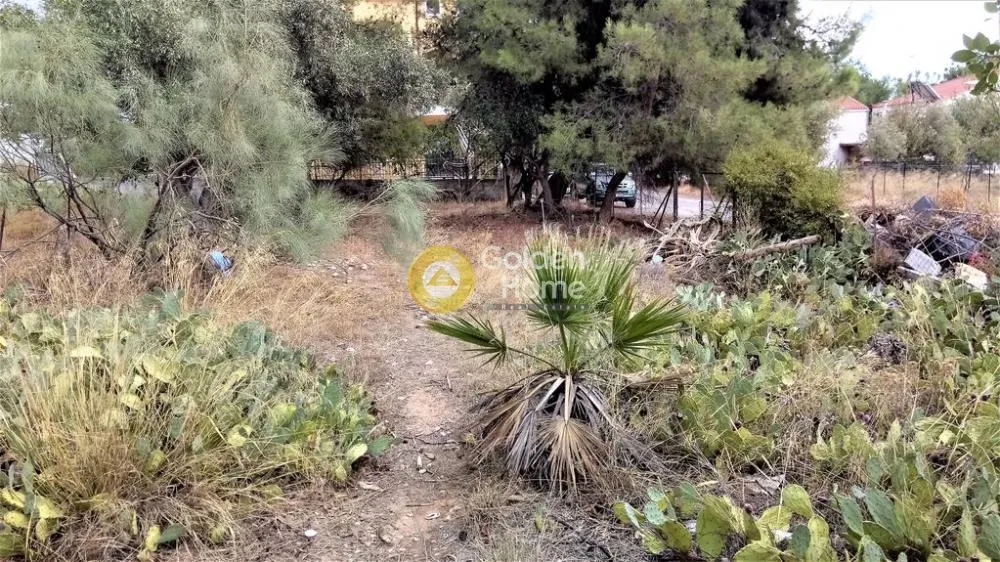 Jardin - Agricultural Plot with Mountain View in Acharnes Menidi