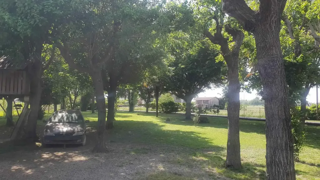 garden