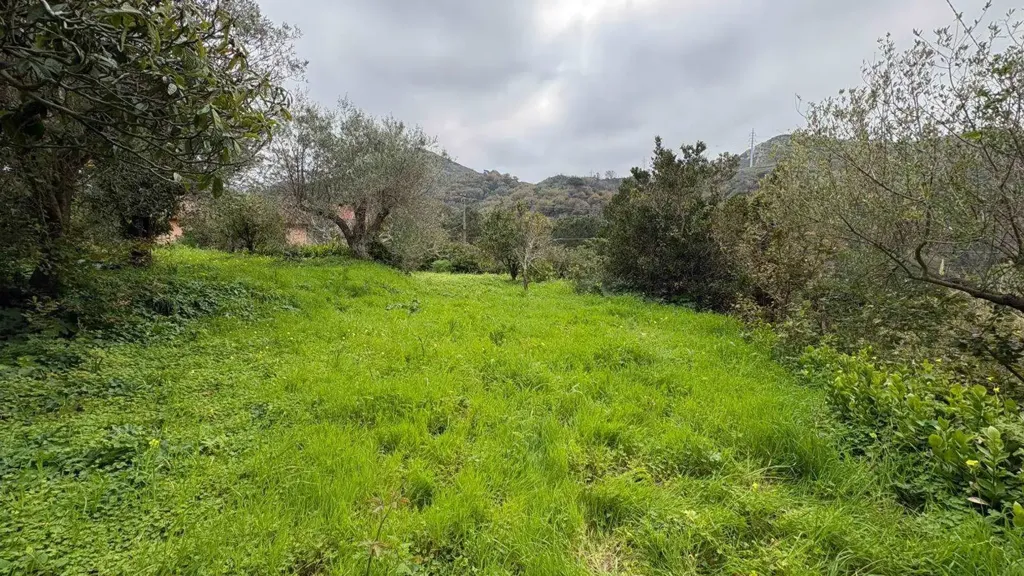 Aed - Independent House with Garden in Messina
