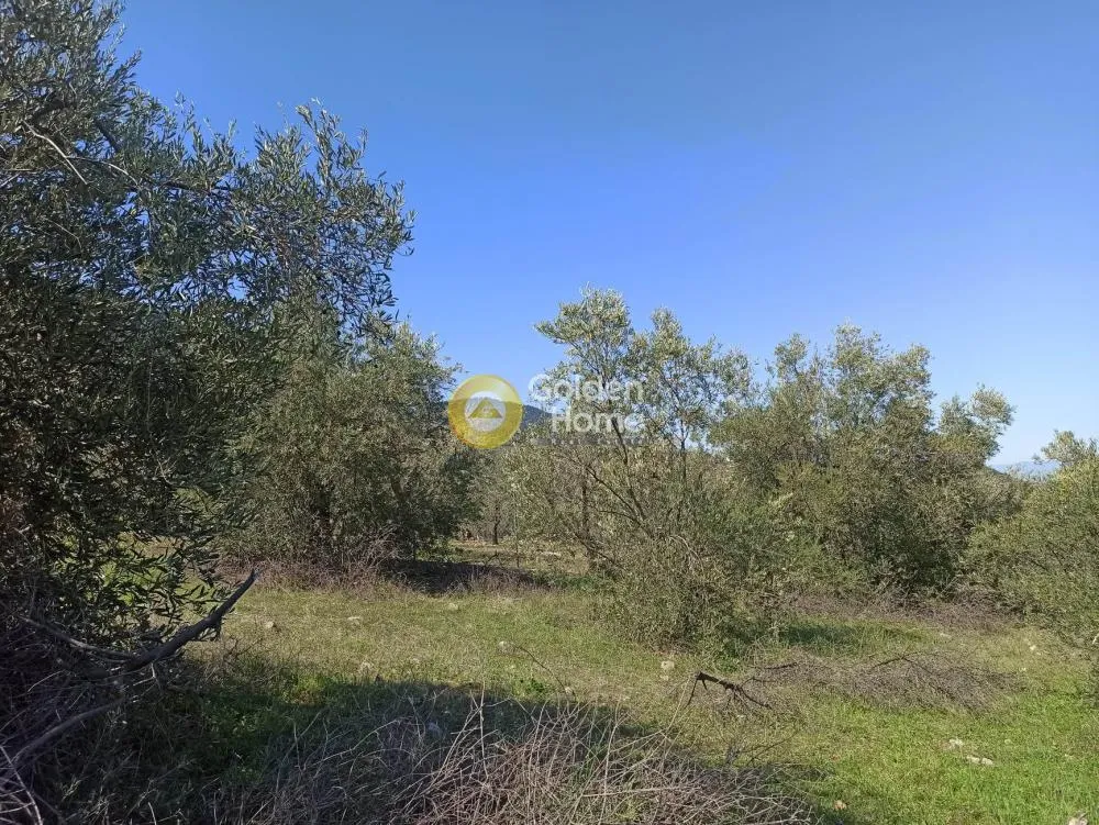 Jardin - Agricultural Plot with Sea and Mountain View in Dafnousses