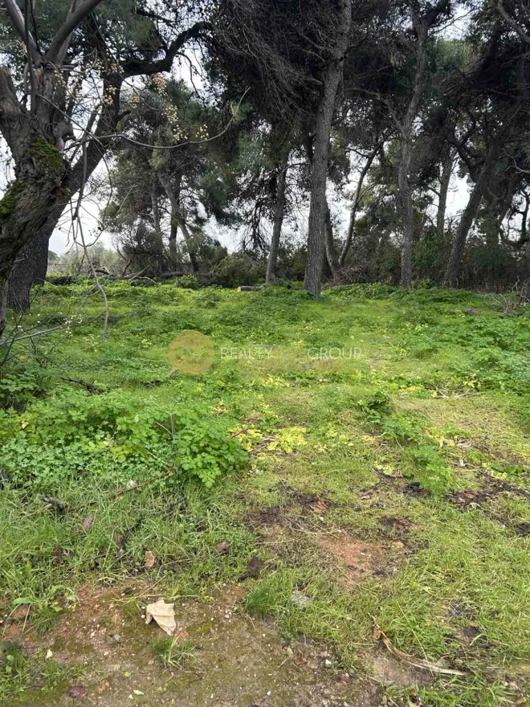 Aed - Corner Plot with Development Potential in Kifissia