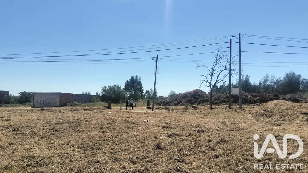 Rural Land with Expansion Potential in Tondela