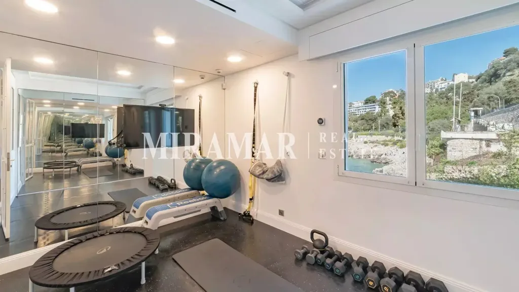 Stanze - Penthouse with Sea Access in Nice