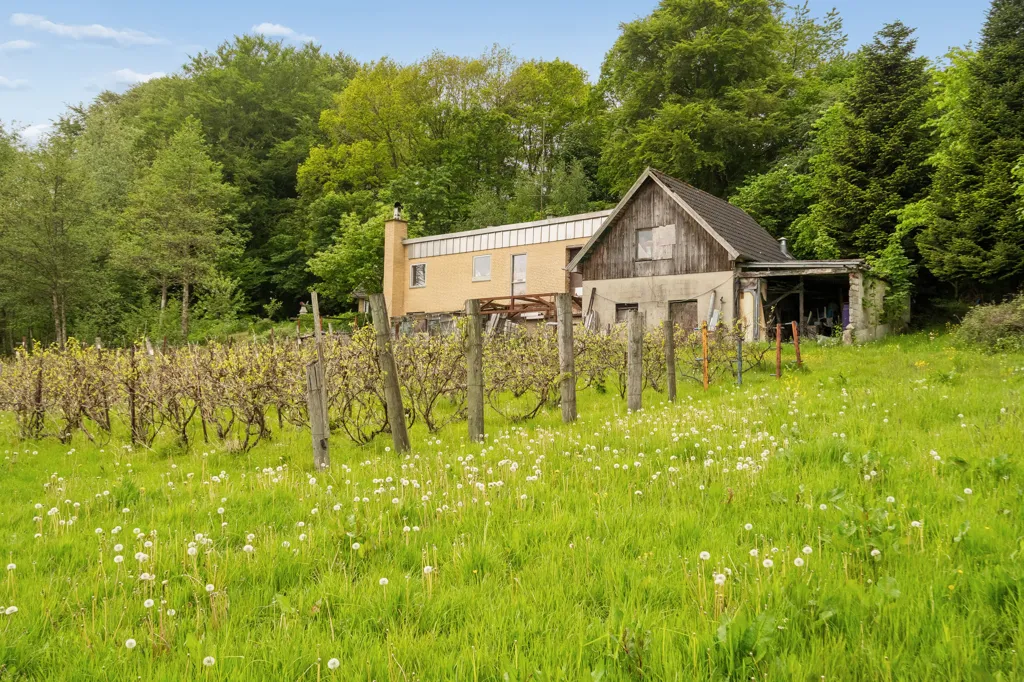 Extérieur - Villa with Vineyards in Nørre Bjert