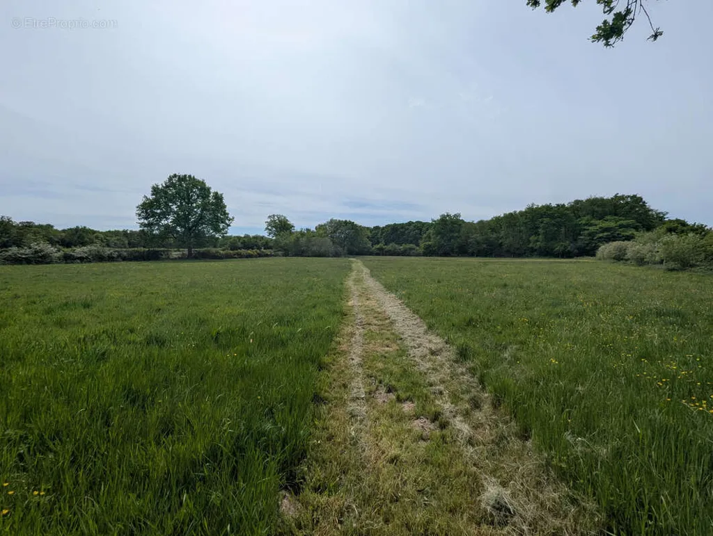 land_plot