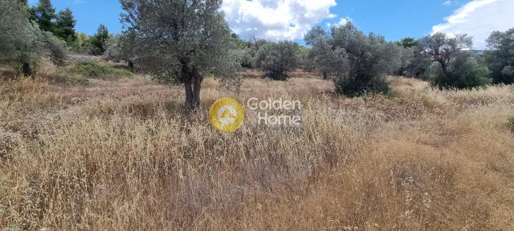 Aed - Plot with Unrestricted View in Egina - Mesagros