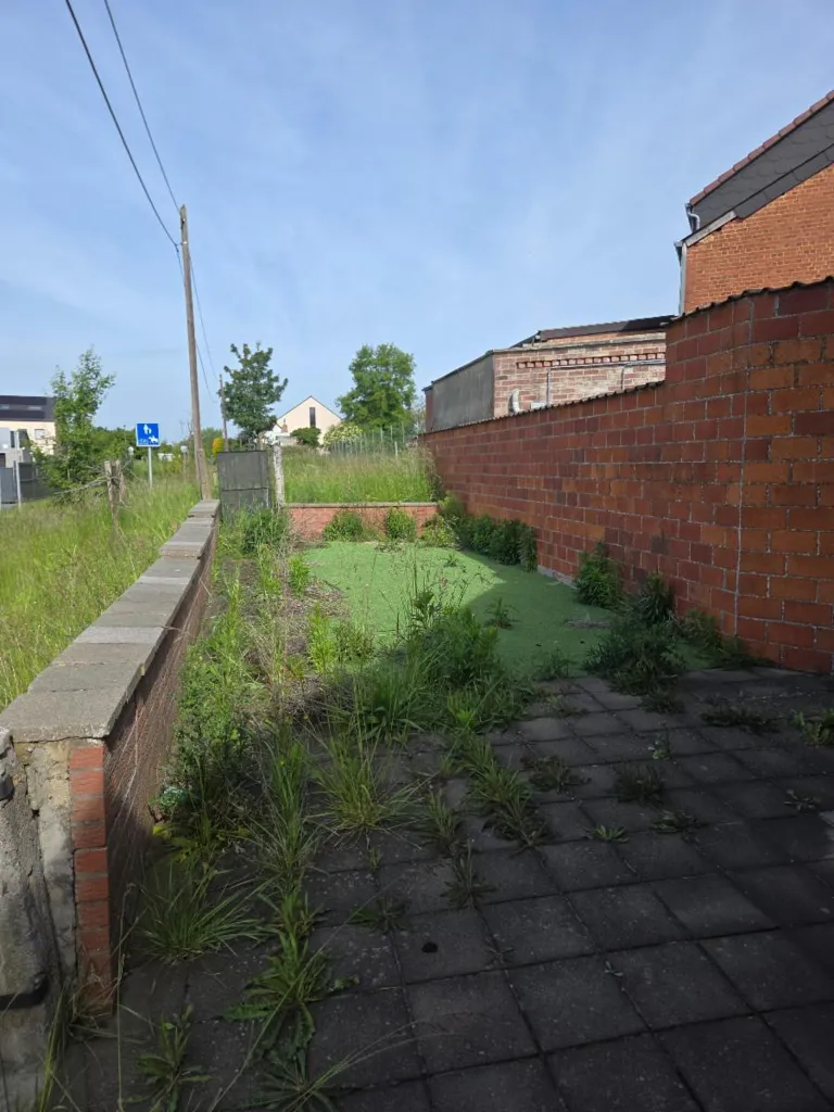 Jardin - Maison de 3 Façades avec Jardin et Garages à Visiter