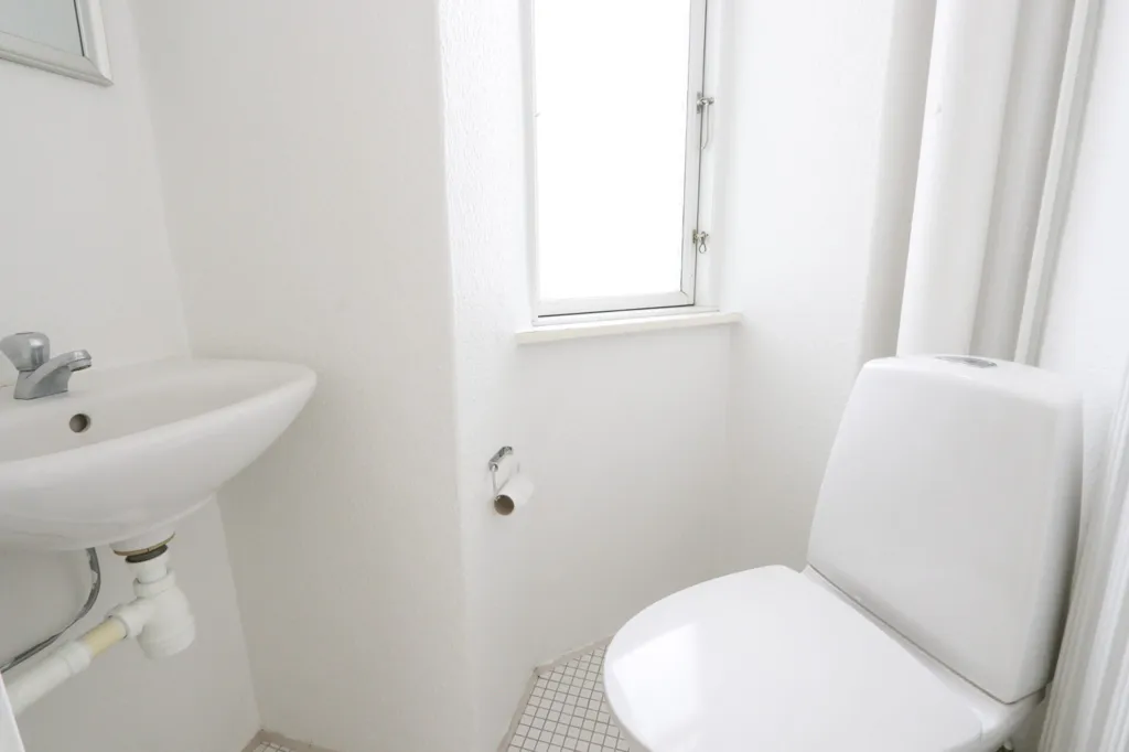 Bathrooms - Spacious Flat in Central Horsens