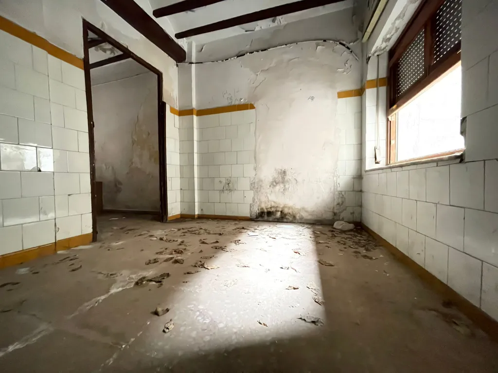 Toad - 1-Bedroom House for Renovation in Elda