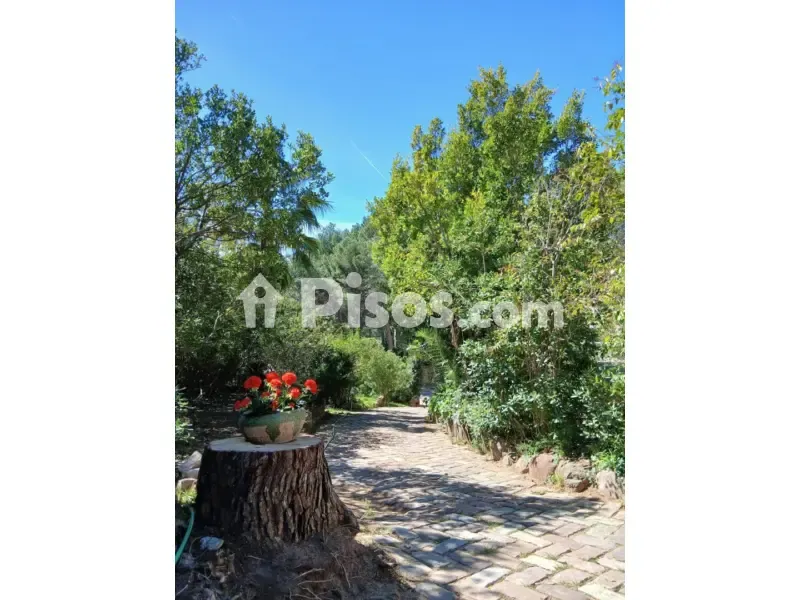 Jardin - Chalet with Pool and Terraces in La Carrasca