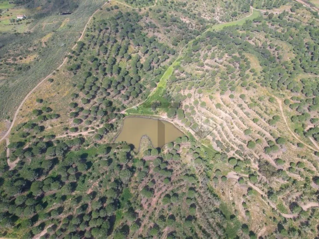 land_plot