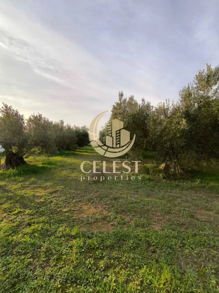 Giardino - Corner Plot with View in Polygyros