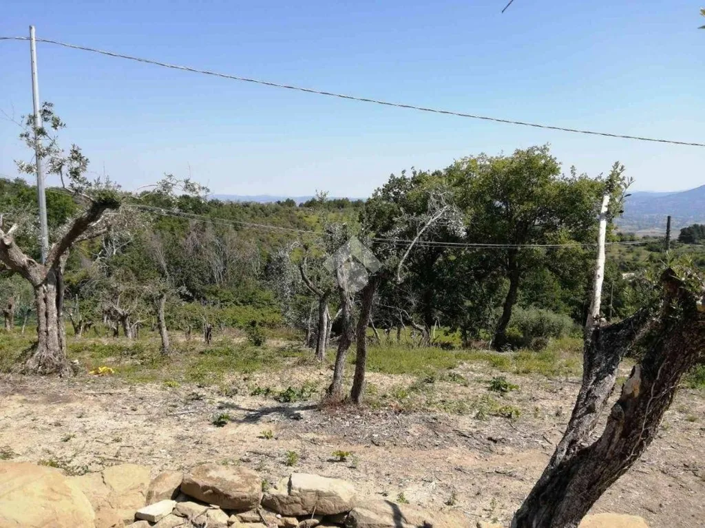 Aed - Restoration Farmhouse with Panoramic View in Cannara