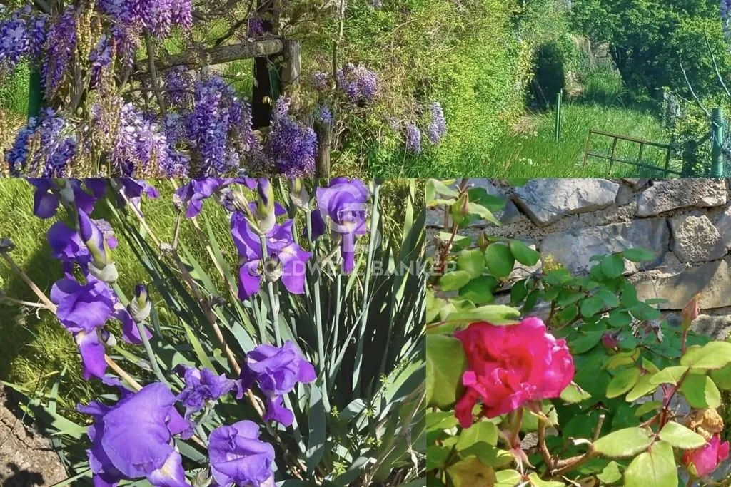 Jardin - Panoramic Villa with Private Park in Costa Volpino