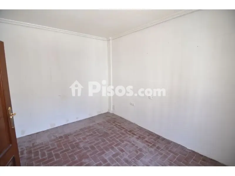 Toad - Flat with Terrace in Calle Loralde Kalea