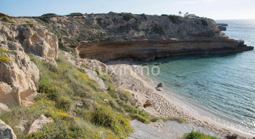 Aed - Traditional Finca with Forest View in Santa Eulalia