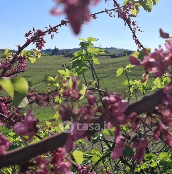 Jardin - Piedmont Farmhouse with Panoramic View in Moasca