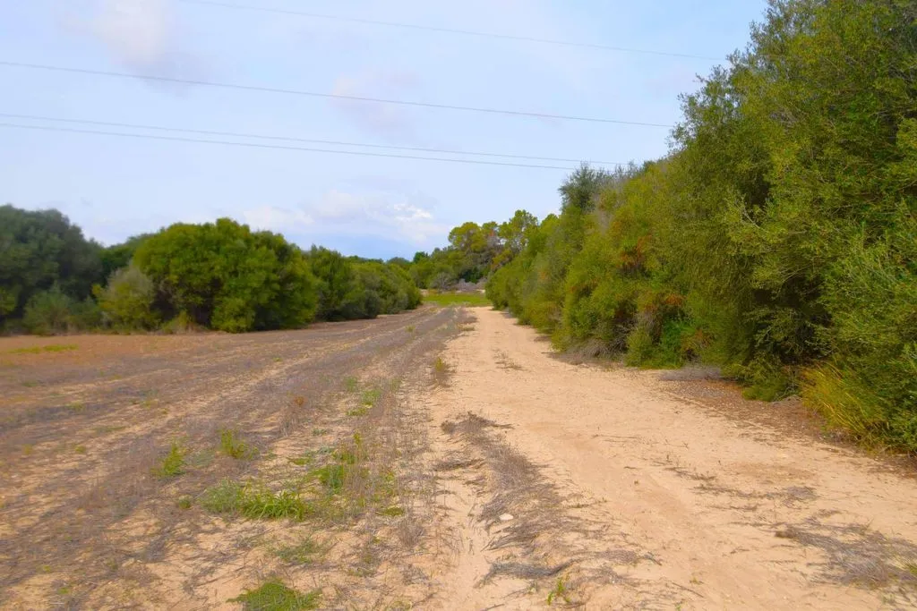Aed - Rustic Plot with House Project in Muro