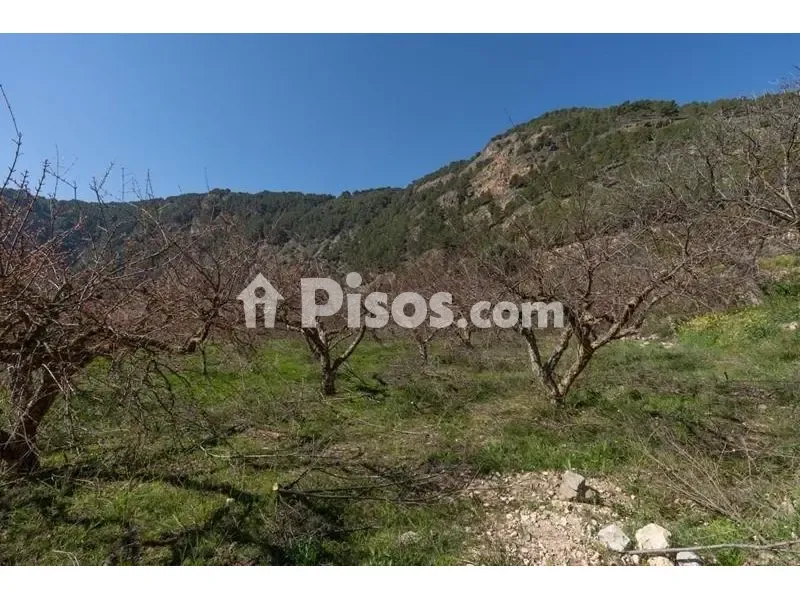Giardino - Rustic Finca with Mountain View in Cónchar