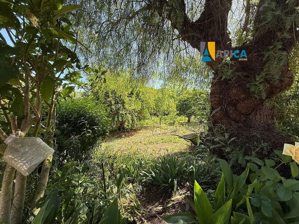 Jardin - Chalet with Pool and Terrace in El Marquesado