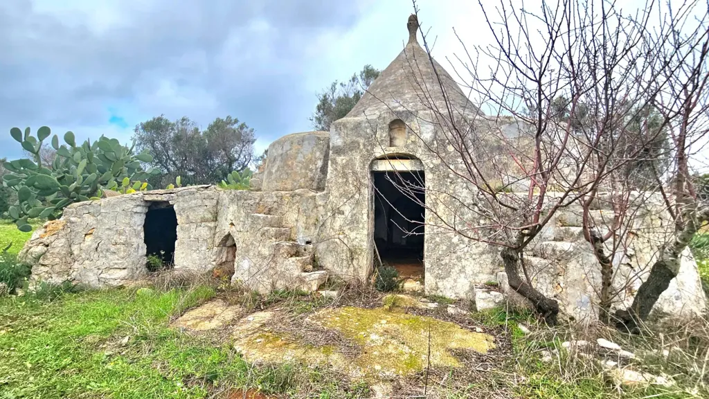 Esterno - Trullo da ristrutturare con terreno a Carovigno