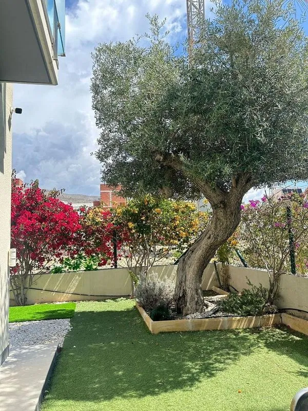 Aed - Chalet with Pool in Cala de Finestrat