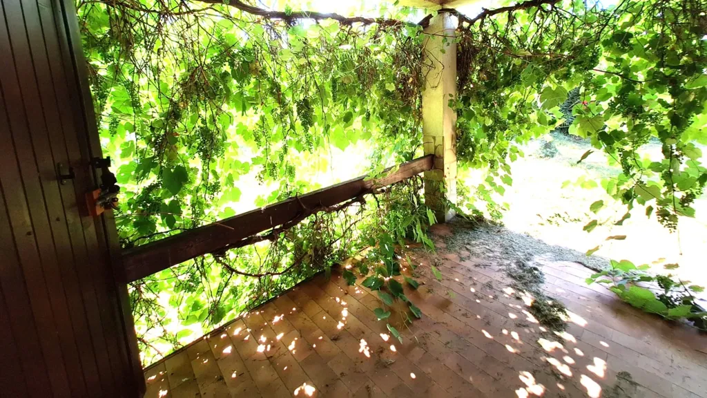Terrasse - Maison avec terrasse et jardin à Lauris