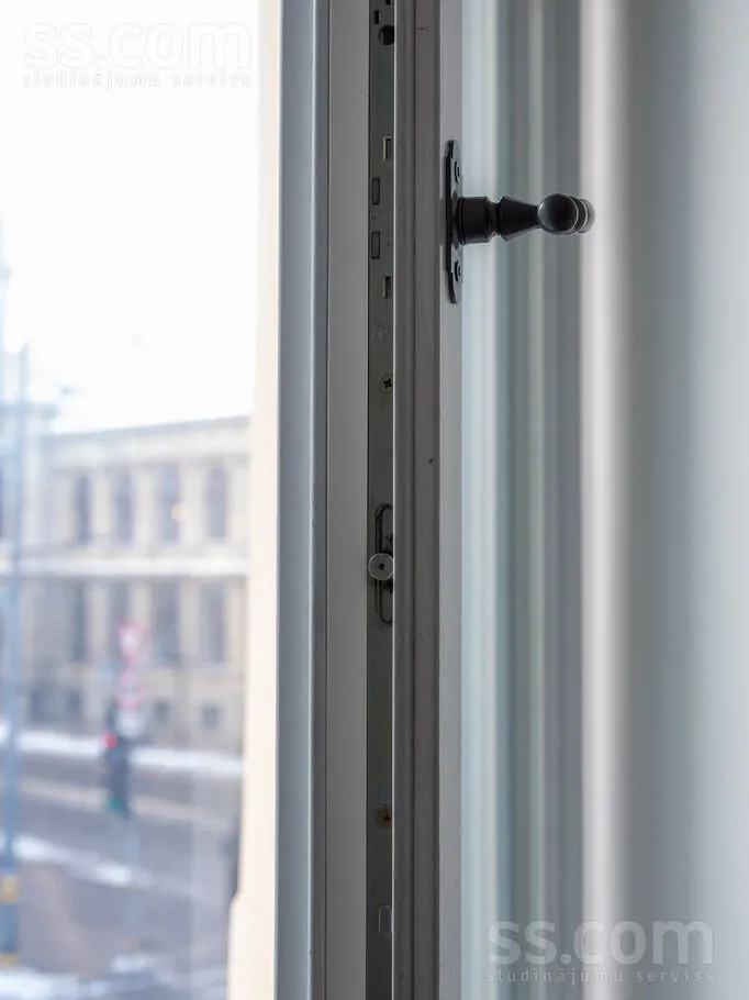 Toad - 2-Bedroom Apartment in Historic Building, Riga Centre
