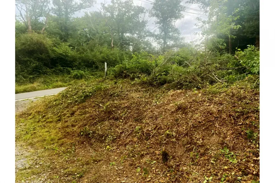Land in Philippeville