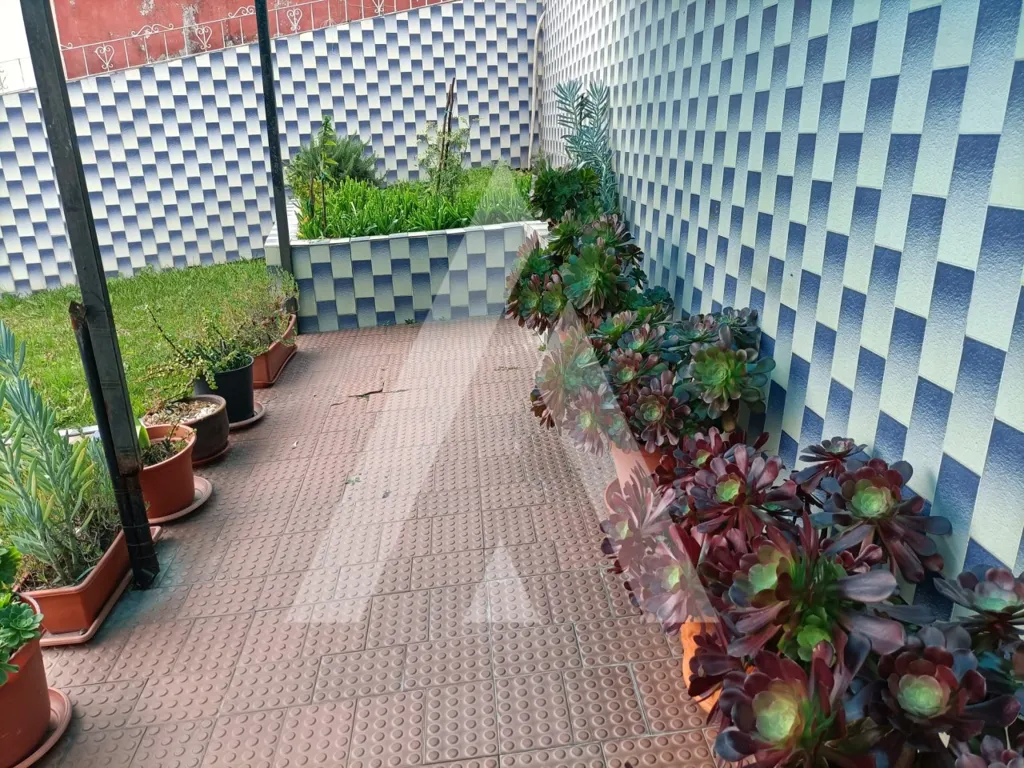 Jardin - T3 House with Garden in Penafiel