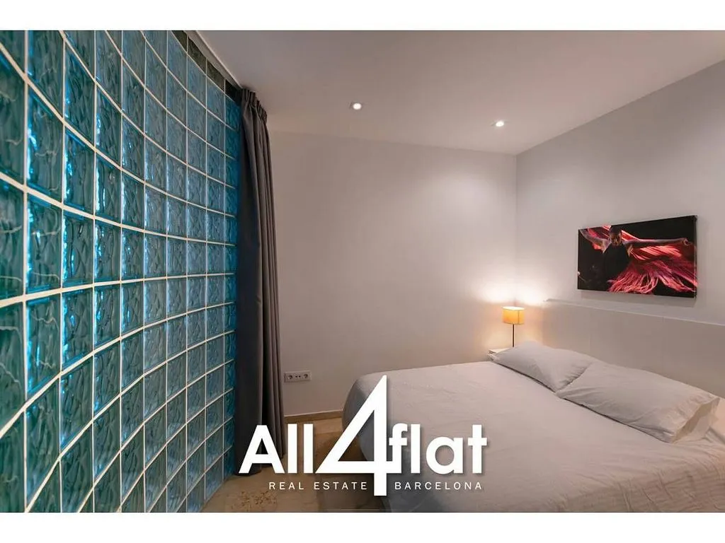 Magamistoad - Studio with South Orientation in Sant Pere, Barcelona
