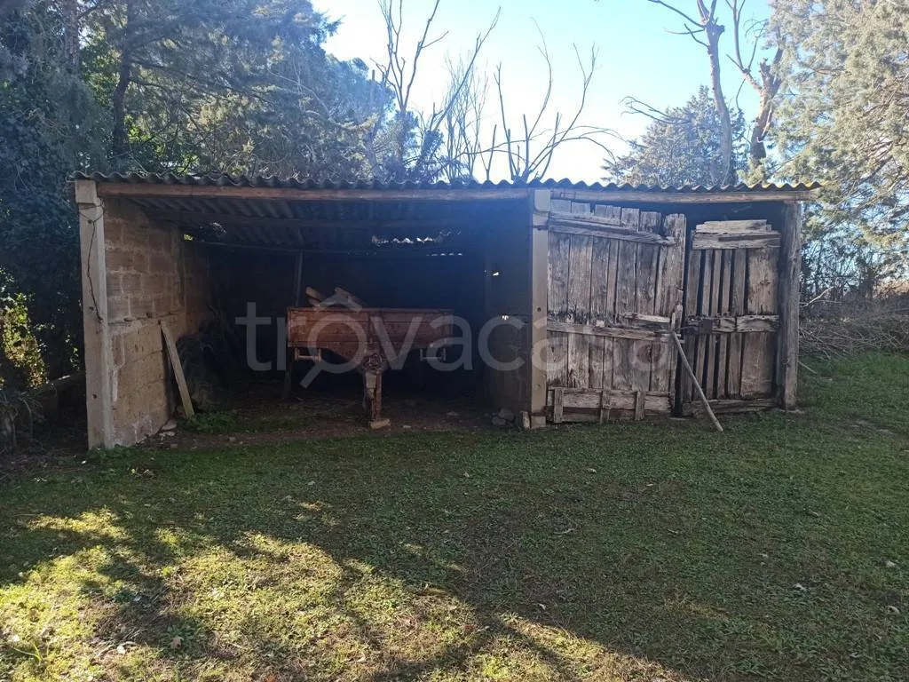 Esterno - Rustic Casale with Panoramic Views near Castiglione del Lago