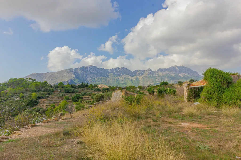 Jardin - Rustic Farmhouse with Sea Views near Benissa