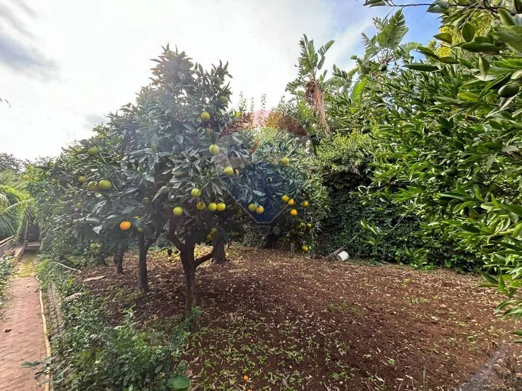 Aed - Luxury Villa with Pool in Mondello, Palermo