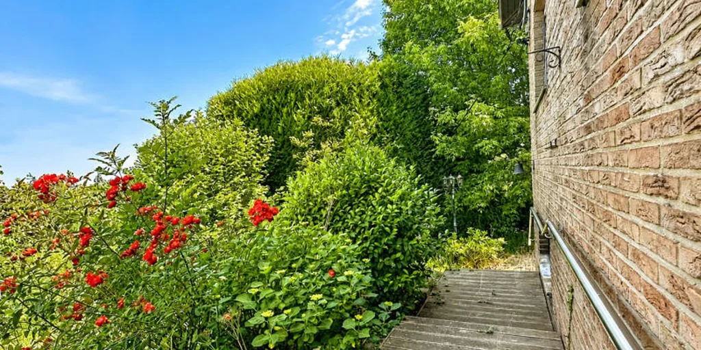 Jardin - Maison à rénover avec terrasse à Visé