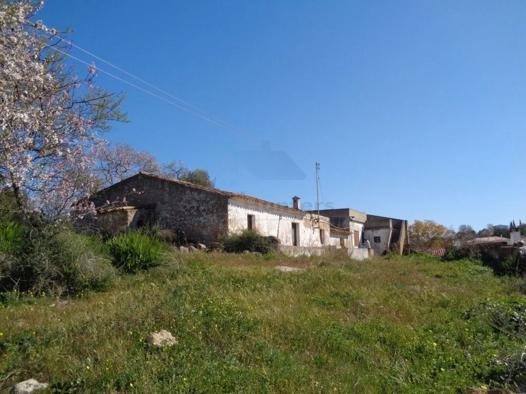 Extérieur - Rustic House with Land in Vale Judeu, Loulé