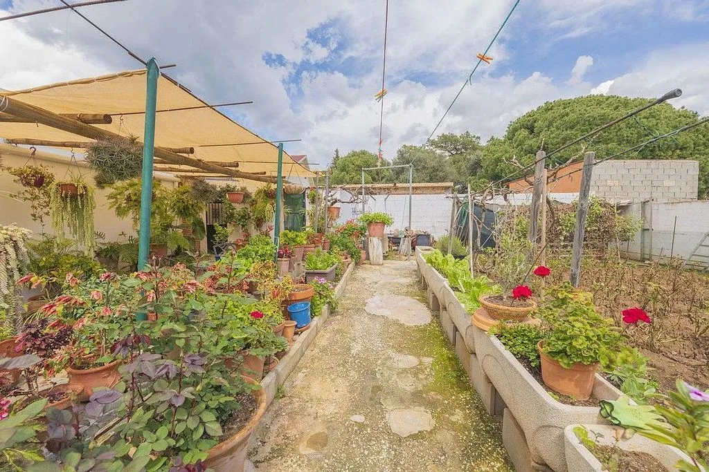 Jardin - Chalet with Pool and Terrace in Marbella