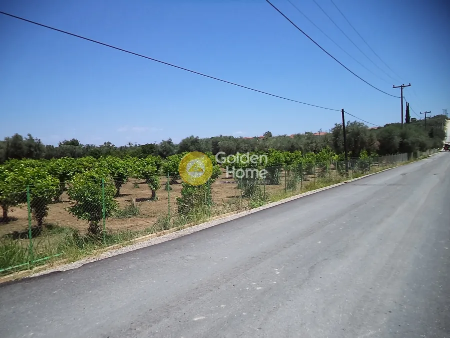 Jardin - Plot with Sea View in Diakopto - Elia
