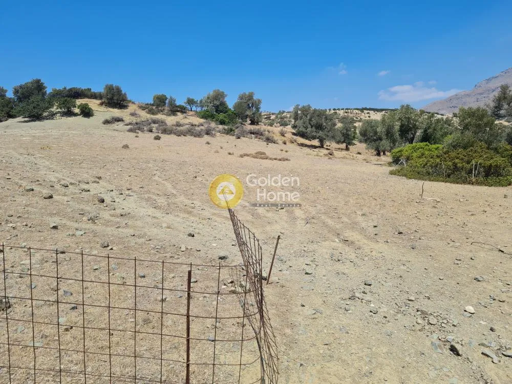 Aed - Plot with Forest View in Triopetra, Agios Vasilios